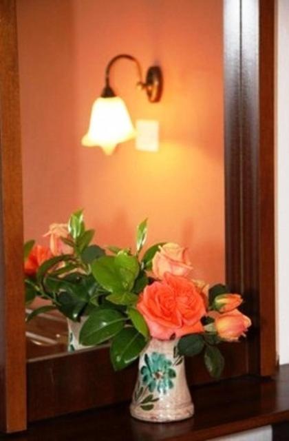 Triantafyllou Maria Rooms Skópelos Cameră foto